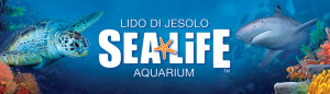 Sea Life Jesolo