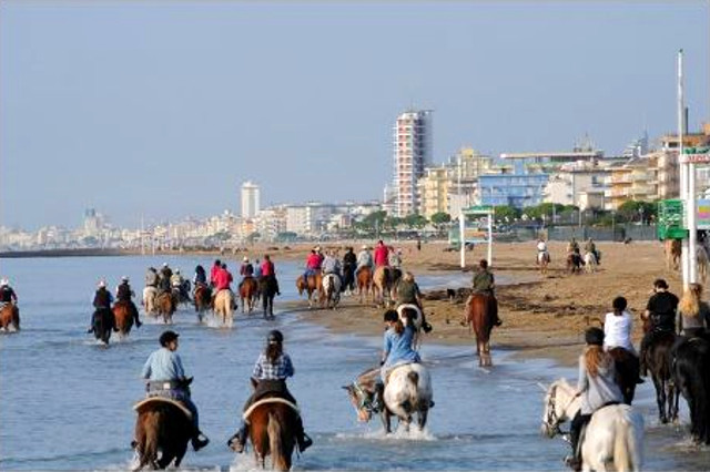 cavalli in spiaggia